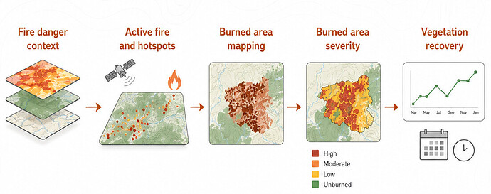 Wildfire monitoring concept